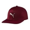 Puma Evoknit Pro Golf Cap