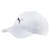 Puma Pounce Golf Cap 021431