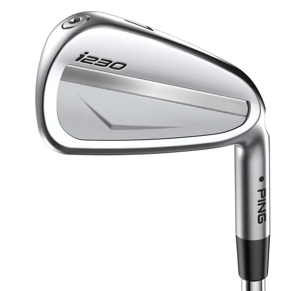 Ping I230 Golf Irons